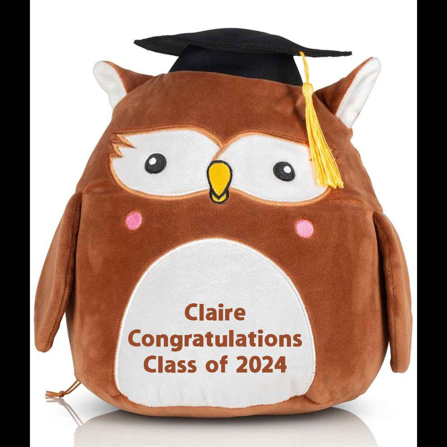End of School Year/ Teacher gift Cuddly Wise Owl. Embroidered Graduation Owl Gift.