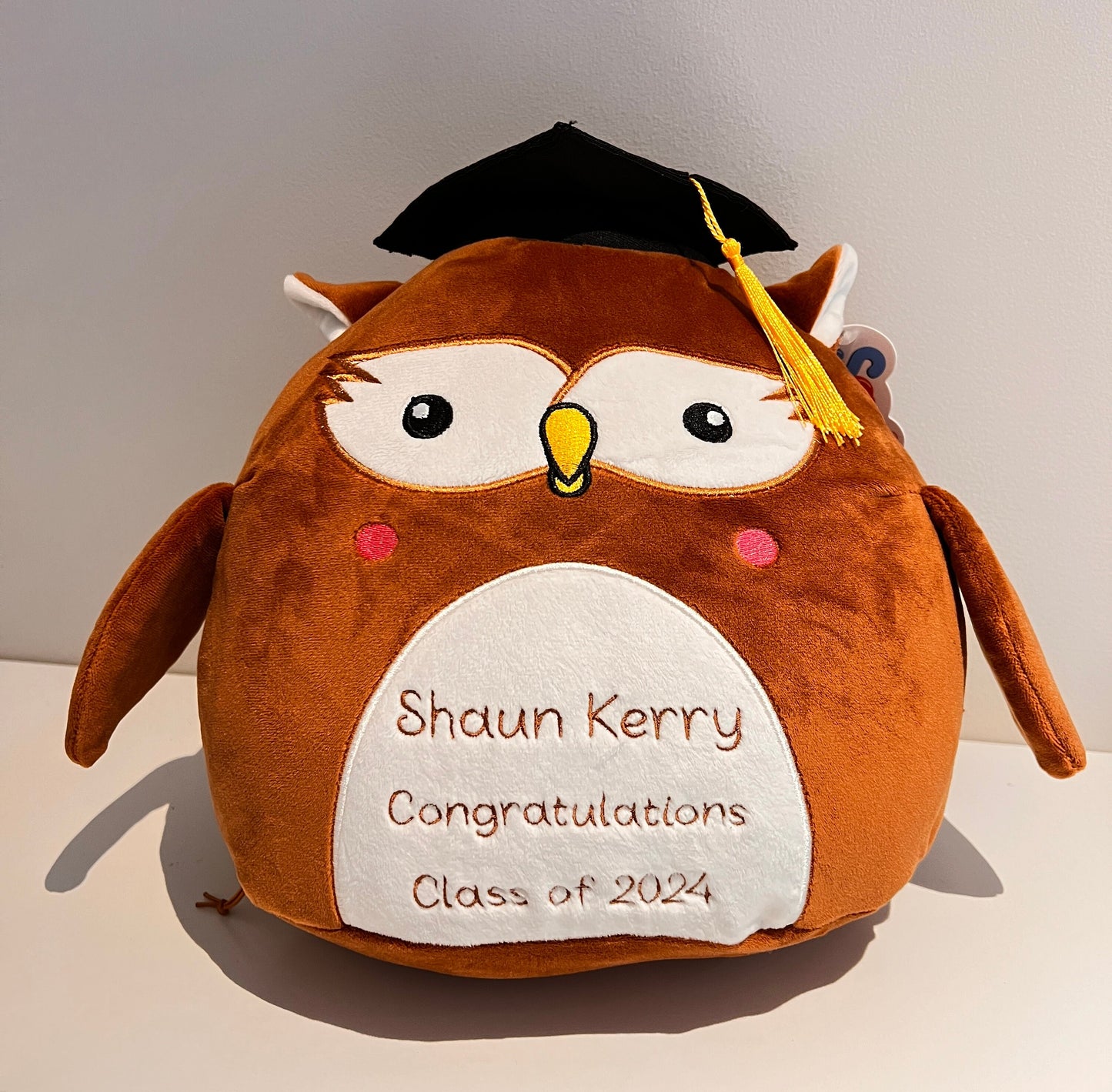 End of School Year/ Teacher gift Cuddly Wise Owl. Embroidered Graduation Owl Gift.